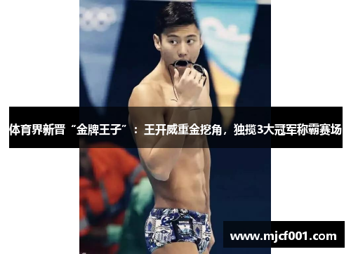 体育界新晋“金牌王子”：王开威重金挖角，独揽3大冠军称霸赛场